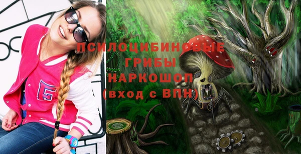 Альфа ПВП Алексин