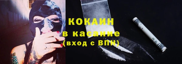 дурь Арсеньев