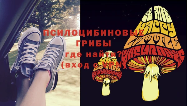 дурь Арсеньев