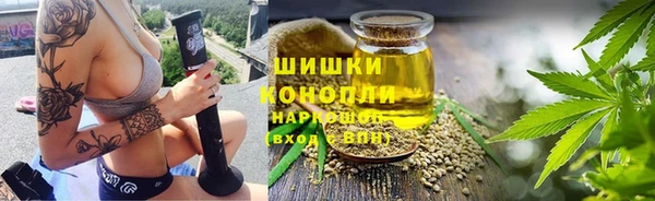тгк Каменск-Шахтинский