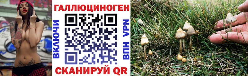 Псилоцибиновые грибы мицелий  Бологое 